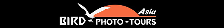 Asia Bird Photo Tours Lang